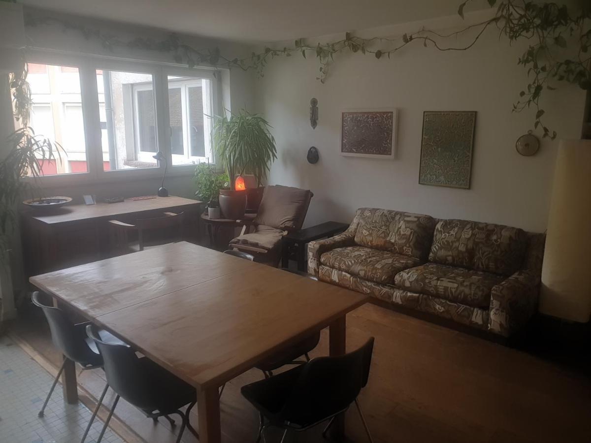 La Puisatiere 80 M2 Apartment Strasbourg Exterior foto