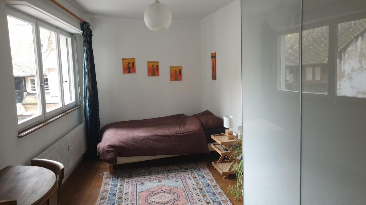 La Puisatiere 80 M2 Apartment Strasbourg Exterior foto