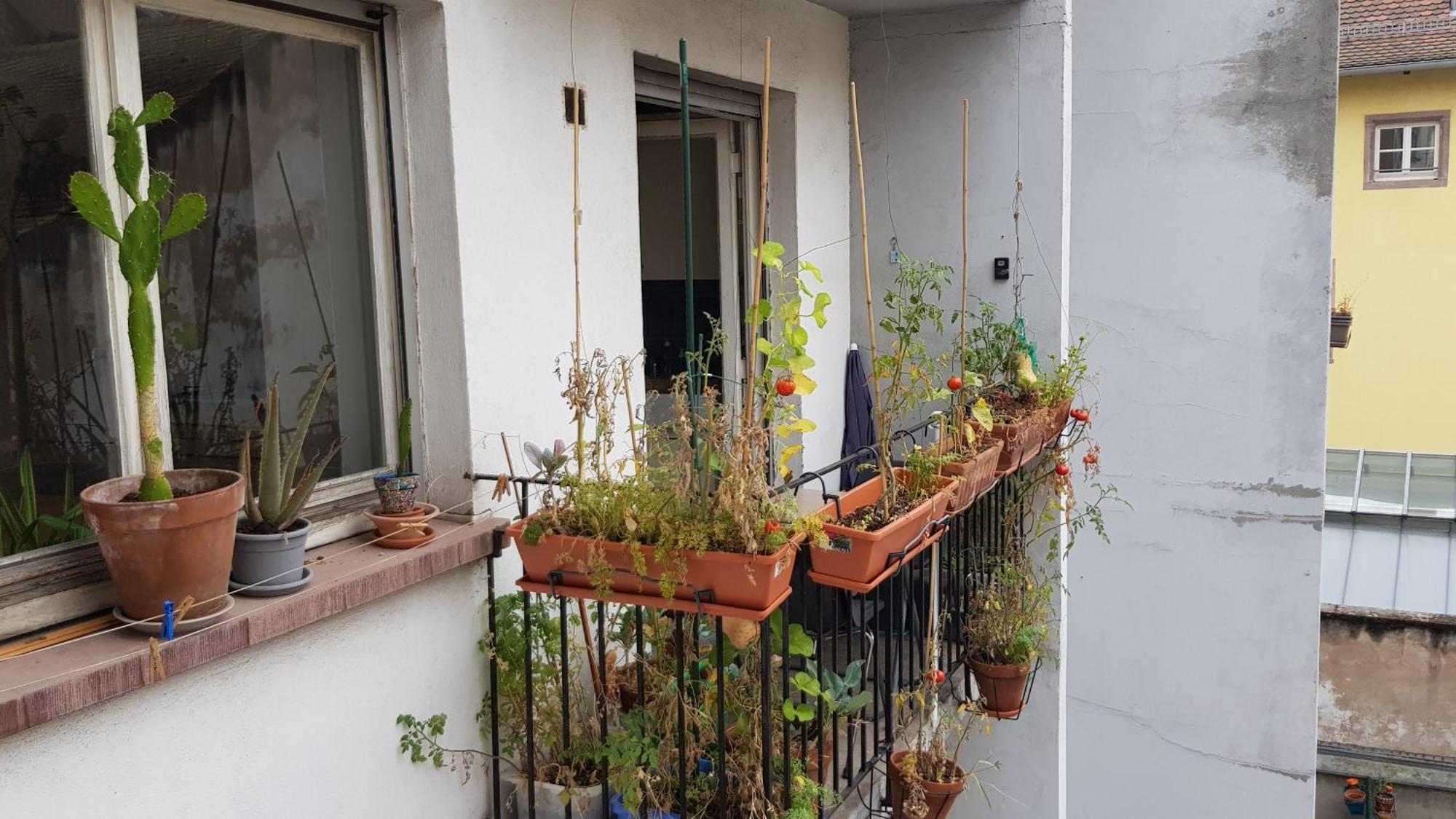 La Puisatiere 80 M2 Apartment Strasbourg Exterior foto